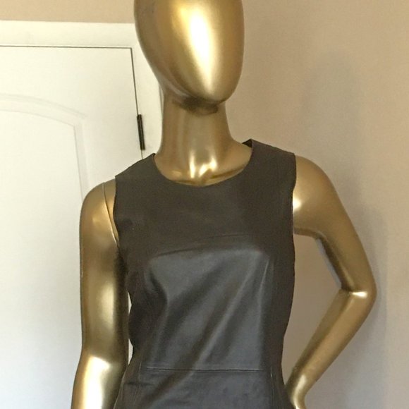 BANANA REPUBLIC Chocolate Brown Leather Dress NEW! - Picture 2 of 11